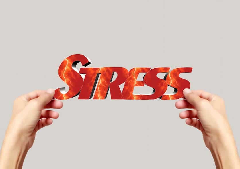 Small Business Stress: The Ultimate Productivity Killer