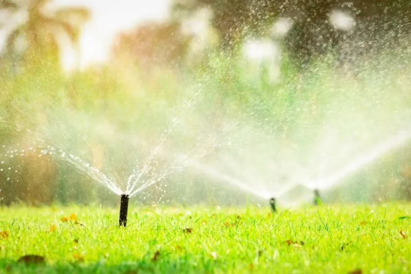 Sprinkler